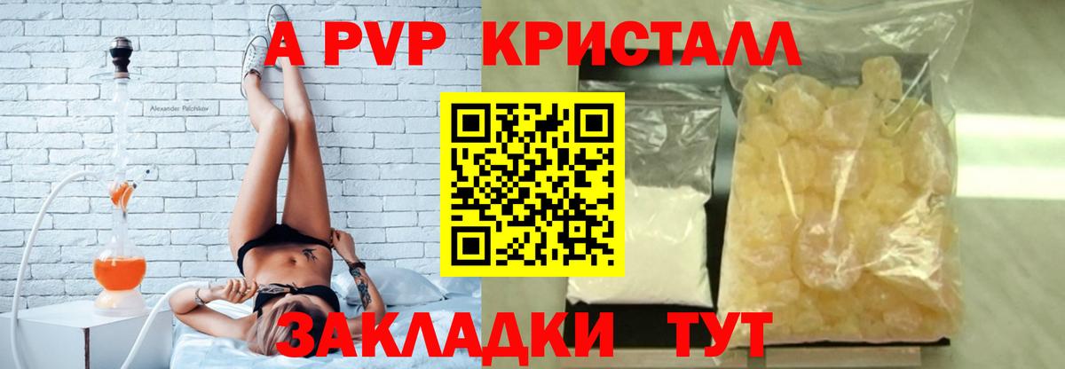 Альфа ПВП СК Аргун