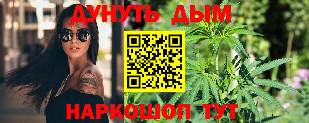 Конопля SATIVA & INDICA  Канабис конопля  Вход с VPN  Бошки Шишки White Widow  Аргун 